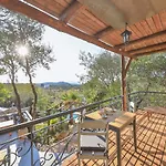 Kale - Adult Only + 15 Kaş