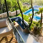 Lodge Kale - Adult Only + 15 *
