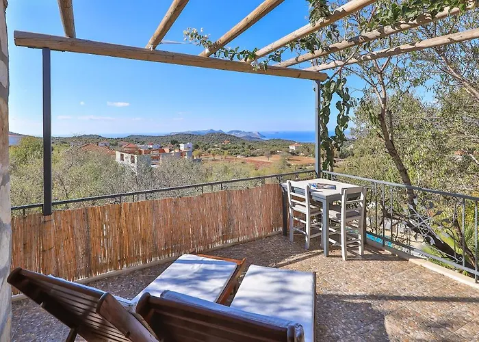 Kale - Adult Only + 15