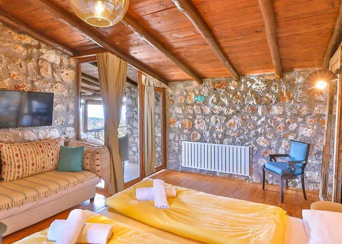 Kale - Adult Only + 15 *