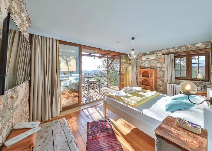 Kale - Adult Only + 15