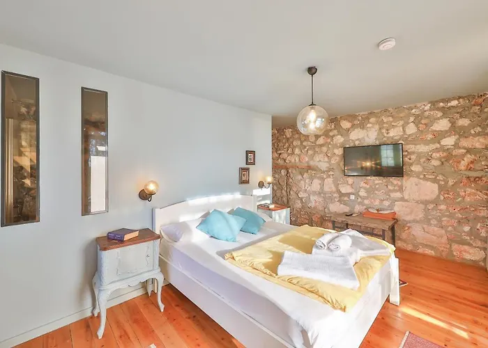 Kale - Adult Only + 15 *