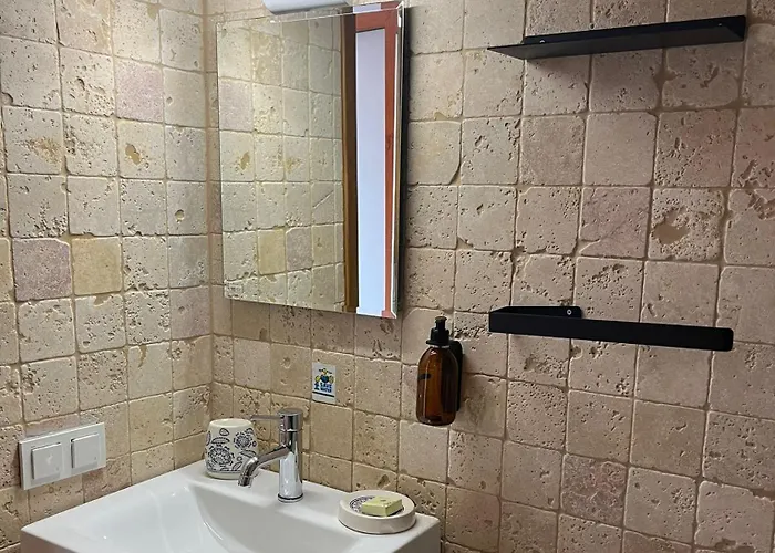 Lodge Kale - Adult Only + 15 *