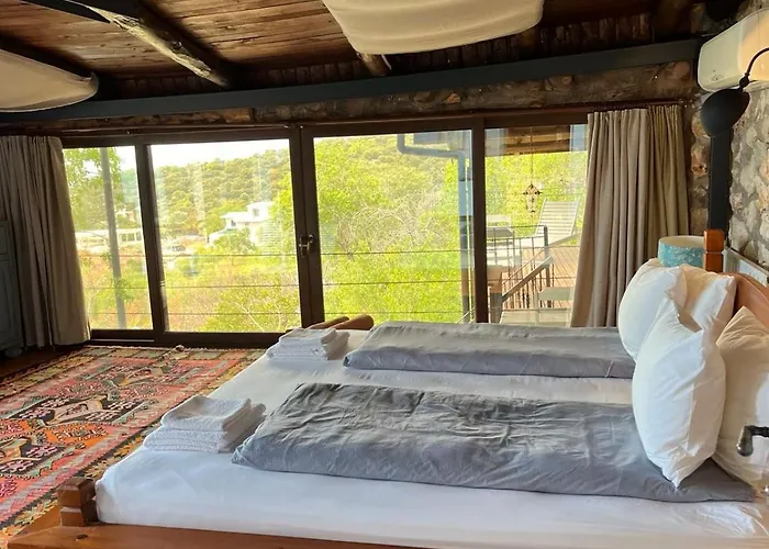 Kale - Adult Only + 15 Kaş