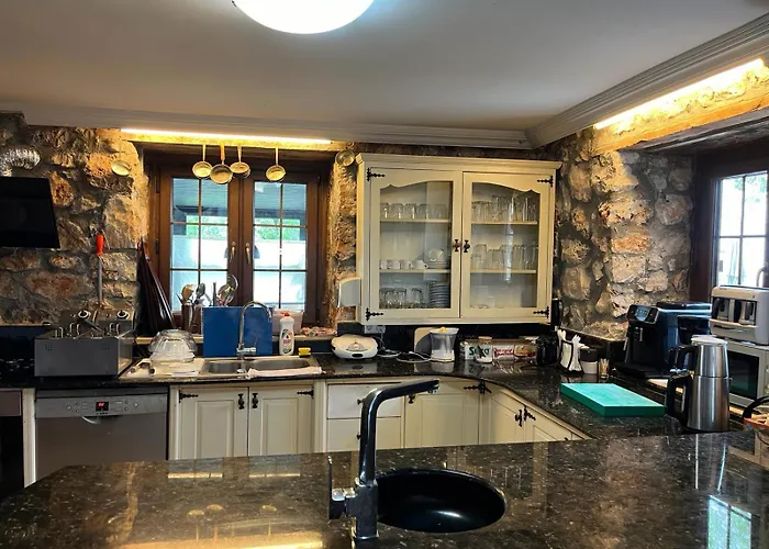 Kale - Adult Only + 15 Kaş