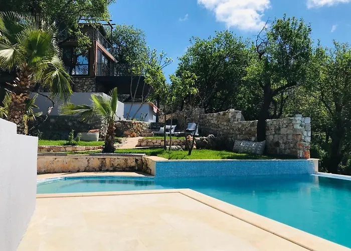 Kale - Adult Only + 15