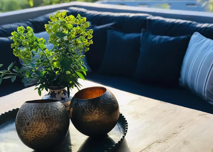 Kale - Adult Only + 15 Kaş