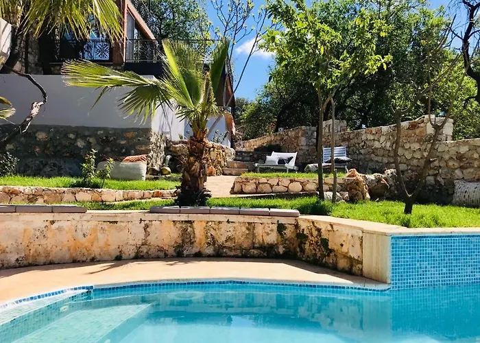 Kale - Adult Only + 15