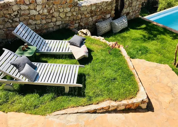 Lodge Kale - Adult Only + 15