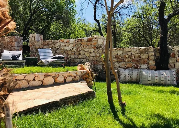 Kale - Adult Only + 15