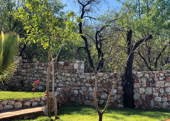 Kale - Adult Only + 15 Kaş