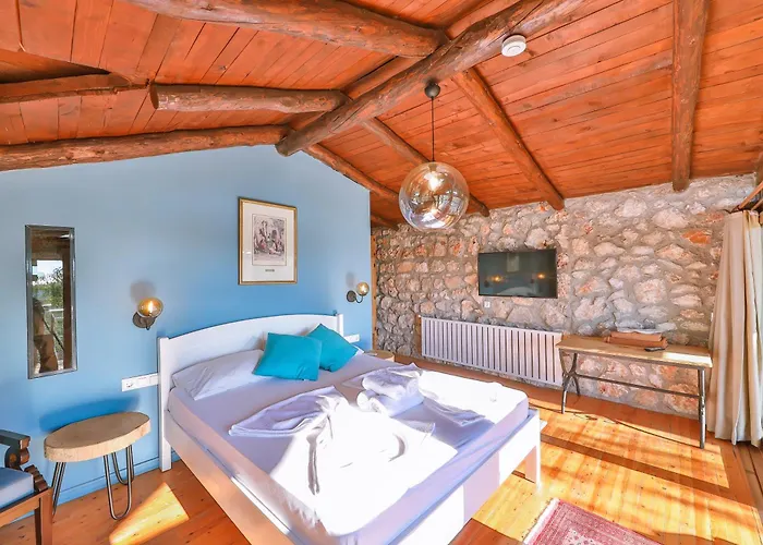 Kale - Adult Only + 15