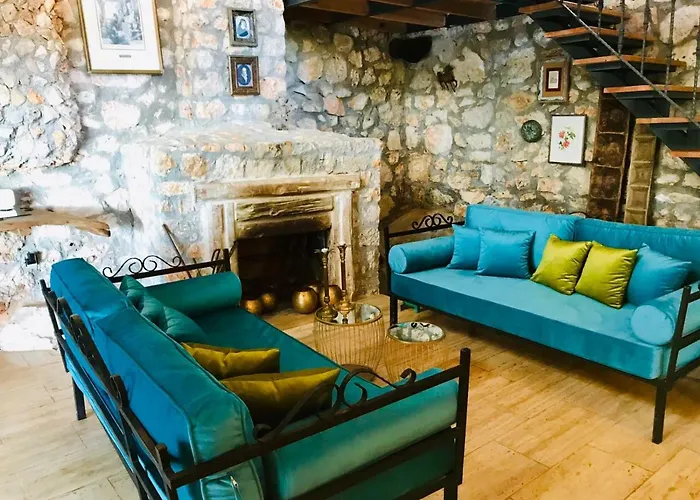 Kale - Adult Only + 15 * Kaş