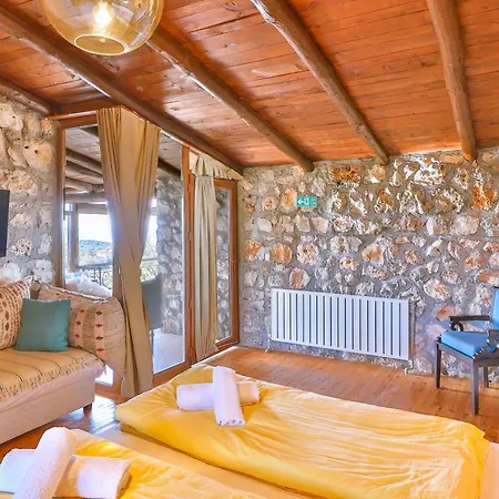 Kale - Adult Only + 15 *