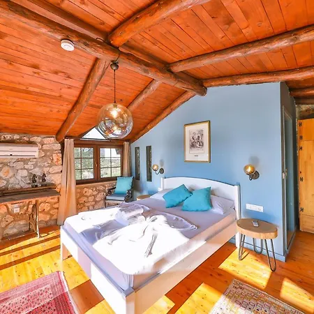 Kale - Adult Only + 15