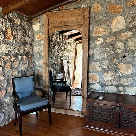 Kale - Adult Only + 15