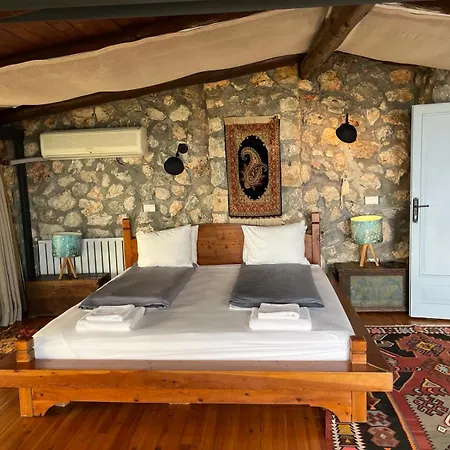Kale - Adult Only + 15 Lodge Kas