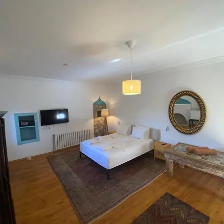 Lodge Kale - Adult Only + 15 *