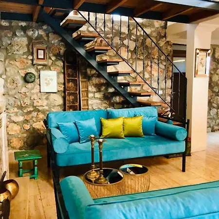 Kale - Adult Only + 15 Lodge *