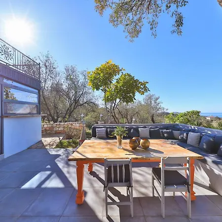 Kale - Adult Only + 15 * Κας