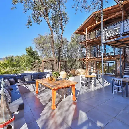 Kale - Adult Only + 15 * Κας