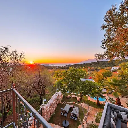 Kale - Adult Only + 15 Lodge