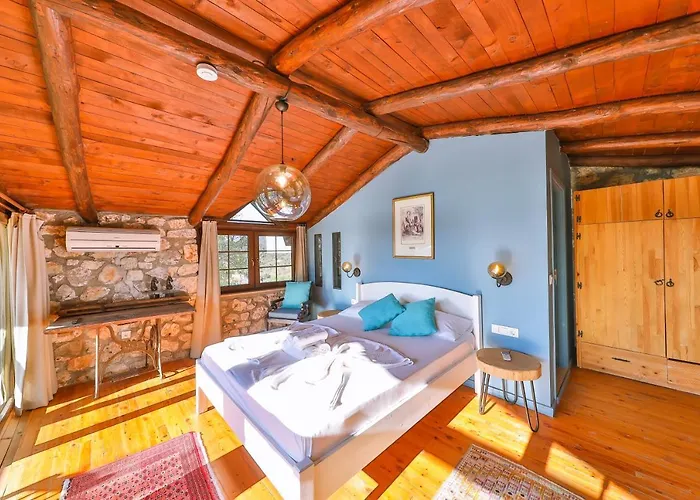 Kale - Adult Only + 15