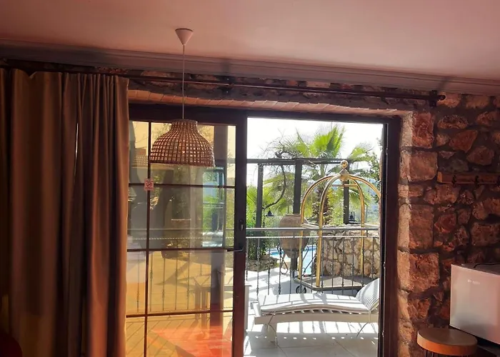 Kale - Adult Only + 15 *