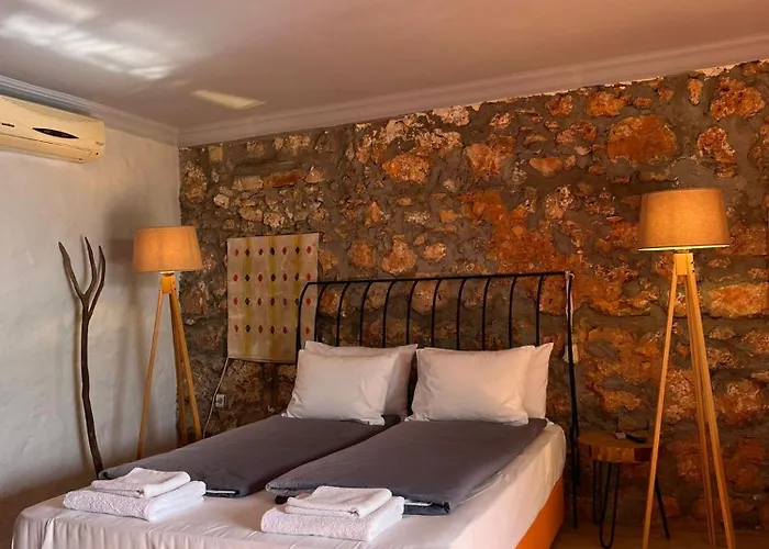 Kale - Adult Only + 15 Lodge *