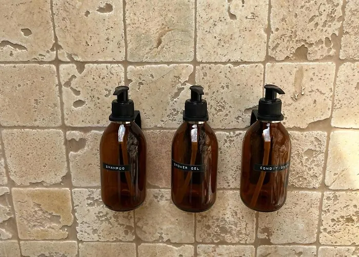 Kale - Adult Only + 15