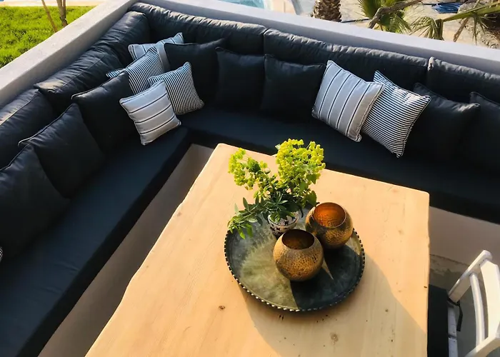 Lodge Kale - Adult Only + 15 *