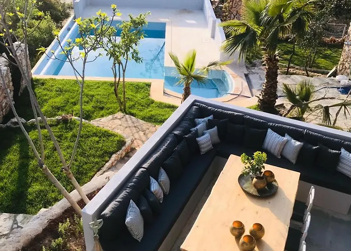 Kale - Adult Only + 15 Kas