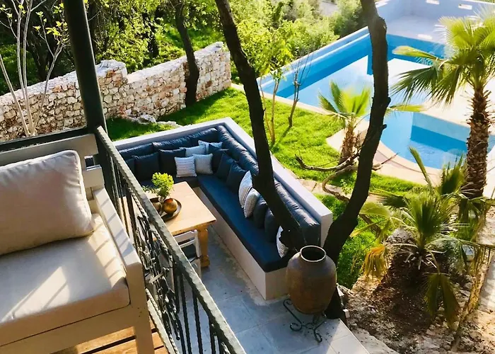 Lodge Kale - Adult Only + 15 *