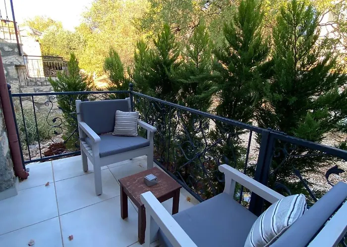 Lodge Kale - Adult Only + 15