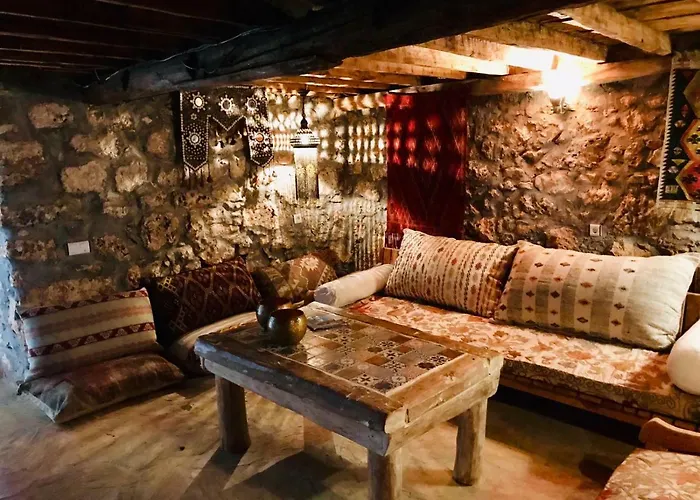 Kale - Adult Only + 15 קס