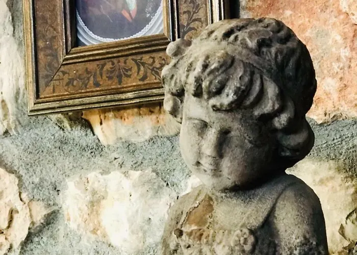 Kale - Adult Only + 15 * Kas