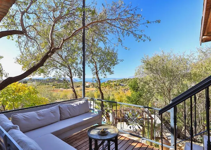 Lodge Kale - Adult Only + 15 *