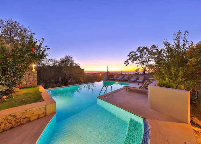 Lodge Kale - Adult Only + 15