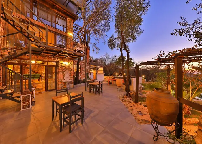 Kale - Adult Only + 15 Lodge