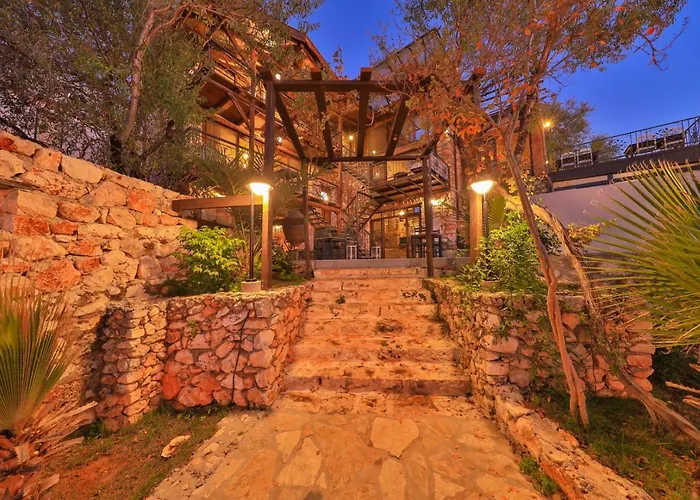 Lodge Kale - Adult Only + 15 *