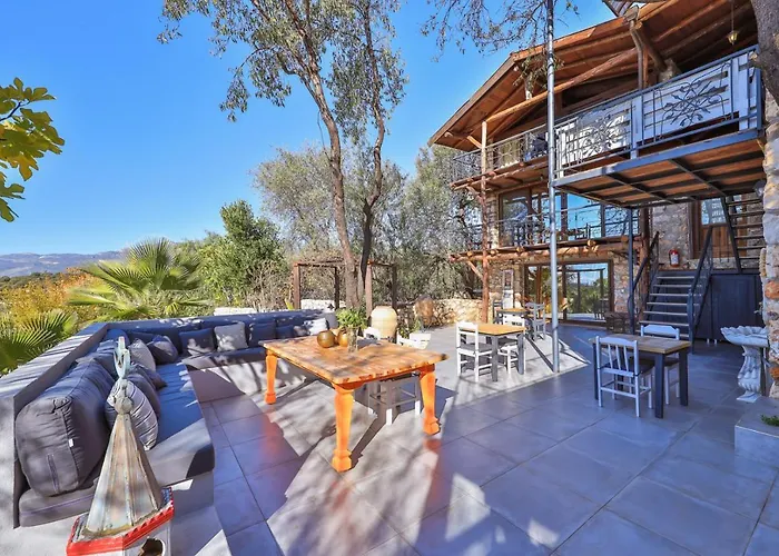 Kale - Adult Only + 15 * Kas