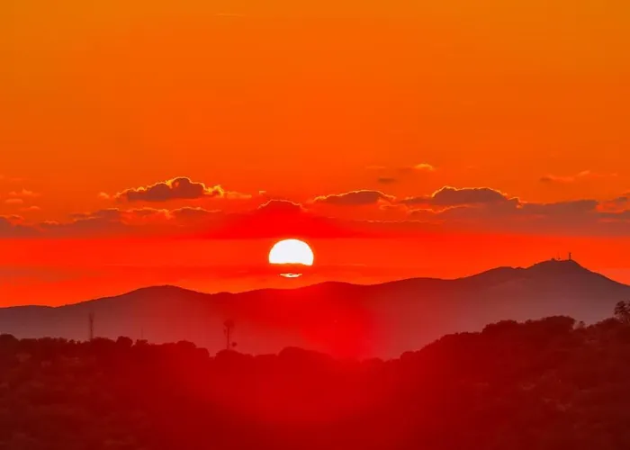 Lodge Kale - Adult Only + 15 *