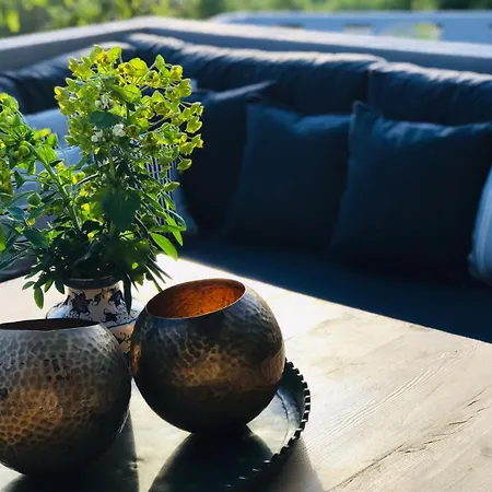 Kale - Adult Only + 15 Каш