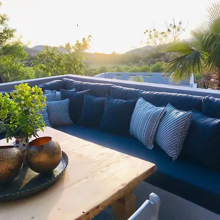 Kale - Adult Only + 15 Каш