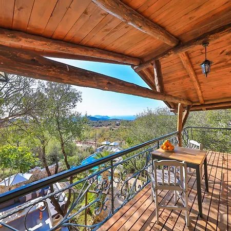 Kale - Adult Only + 15 Каш