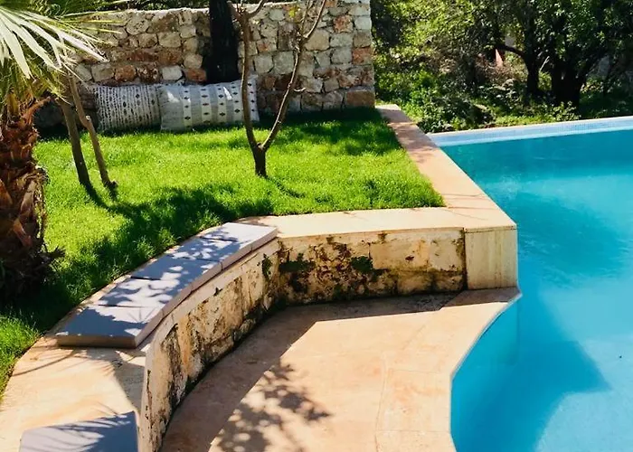 Kale - Adult Only + 15