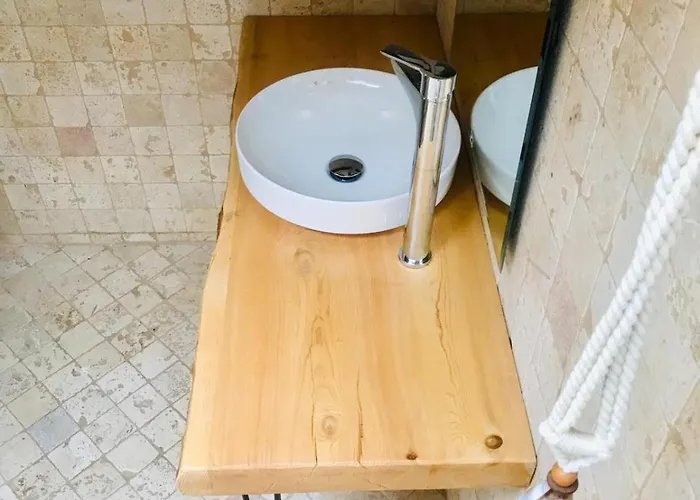 Kale - Adult Only + 15