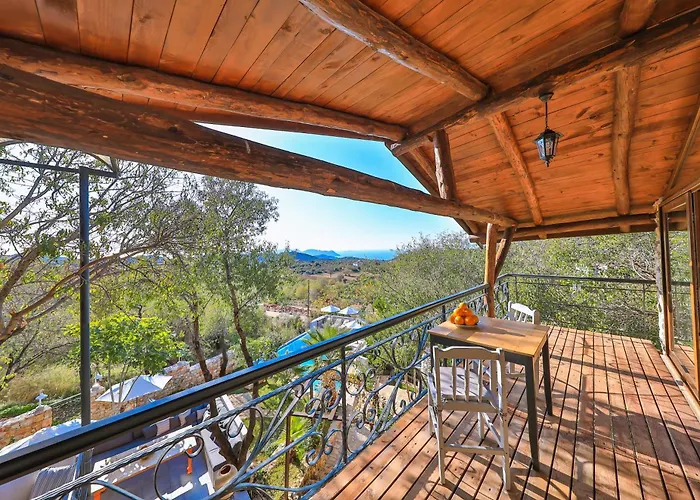 Kale - Adult Only + 15 Каш