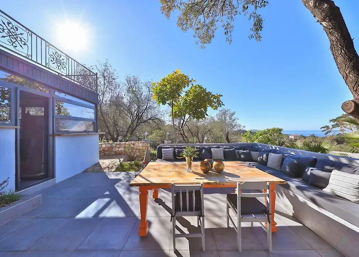 Kale - Adult Only + 15 * Каш