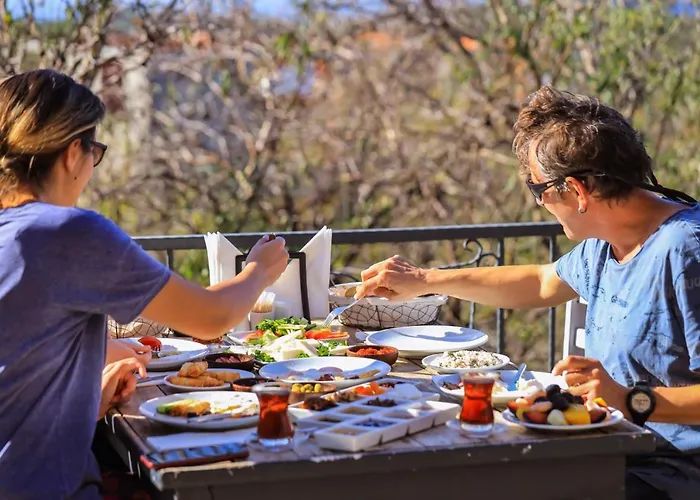 Kale - Adult Only + 15 *